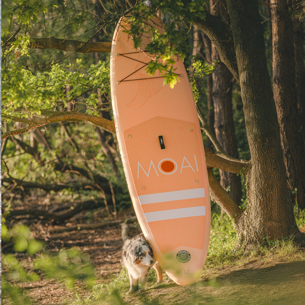 MOAI Allround Dawn SUP 10'6 Pakket